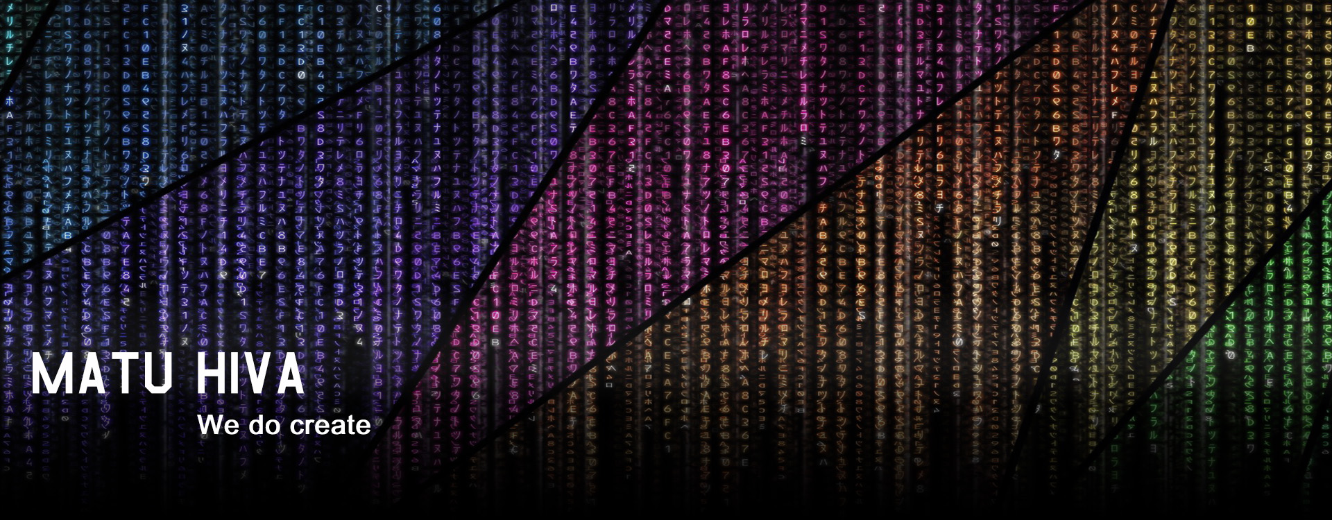 Cover Custom Software